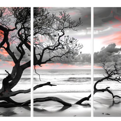 Split Canvas Prints